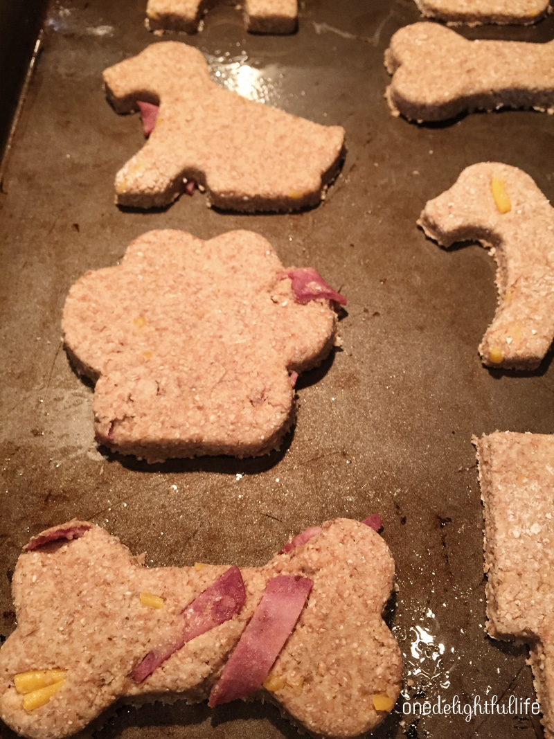 homemade-bacon-cheddar-dog-biscuits6