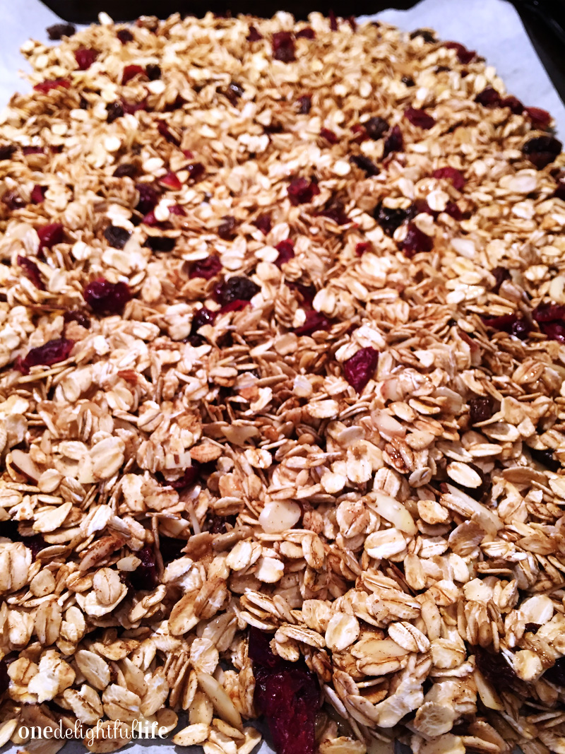 homemade-granola-with-cranberries-and-raisins5