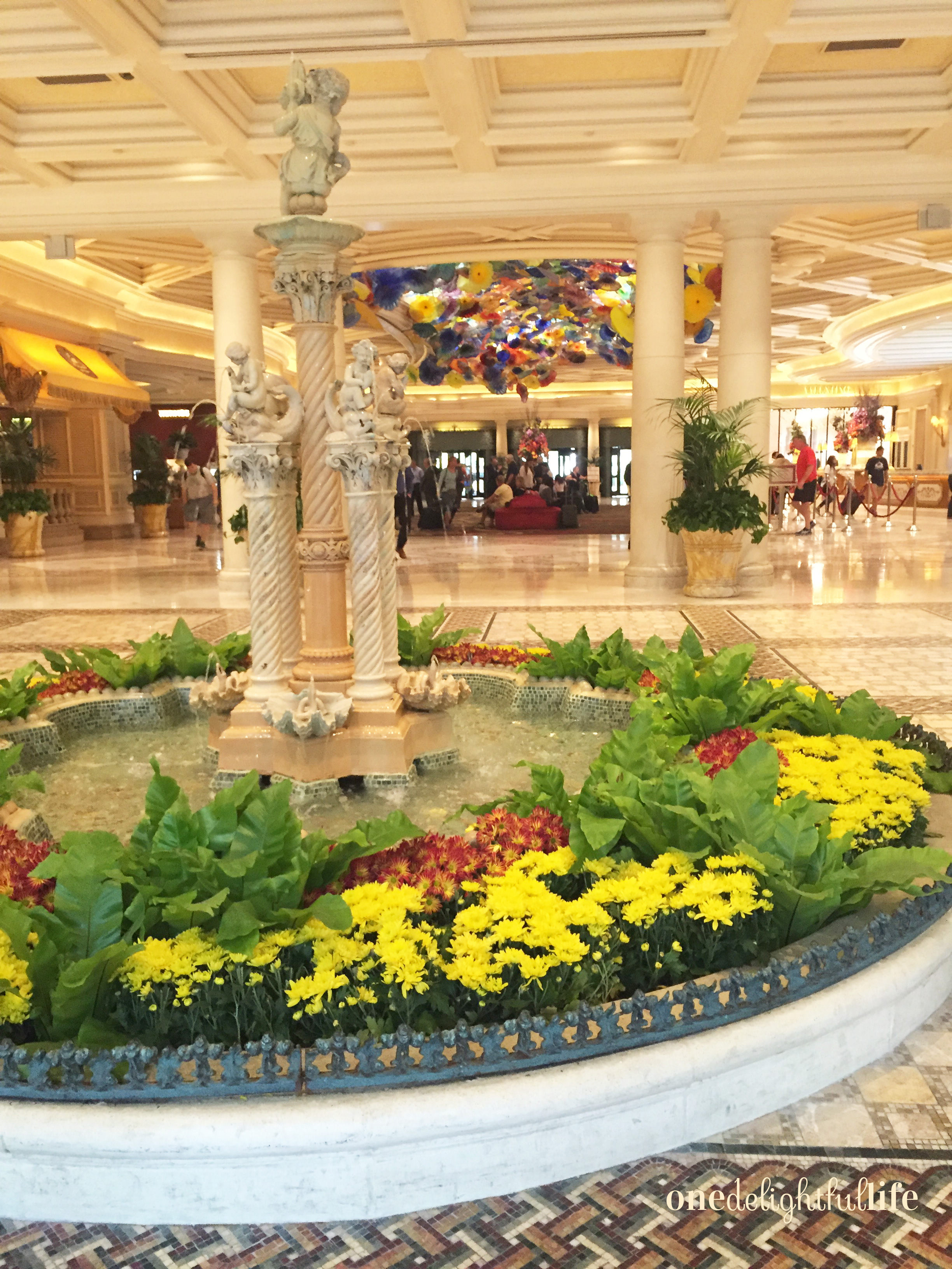 This water feature divides the hotel lobby check in area from the conservatory.