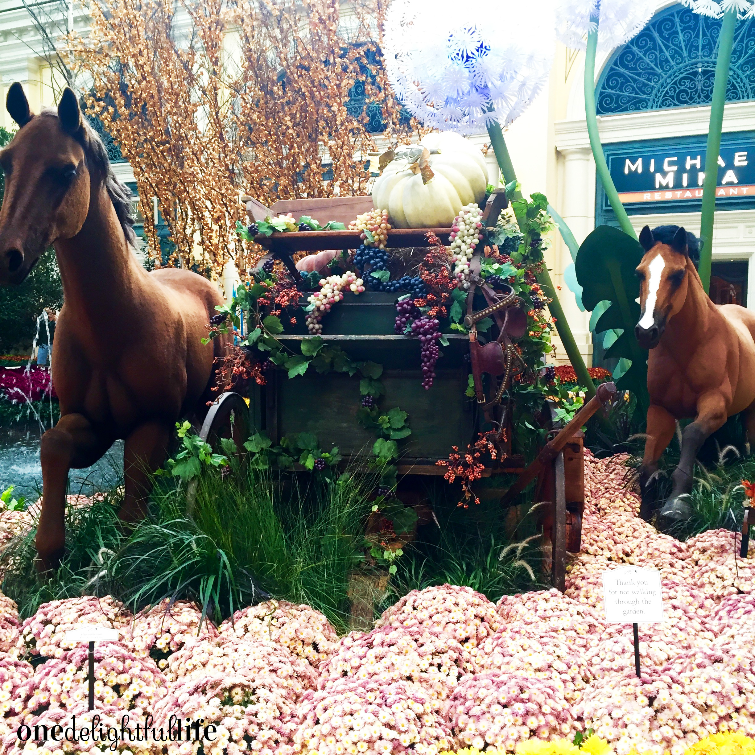 Bellagio Las Vegas: A Guide for Tourists & Guests Visiting — sian