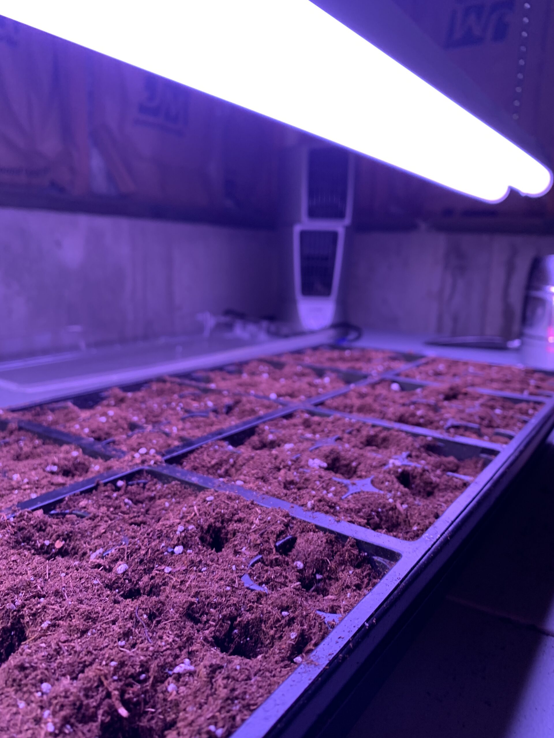 seed starting trays