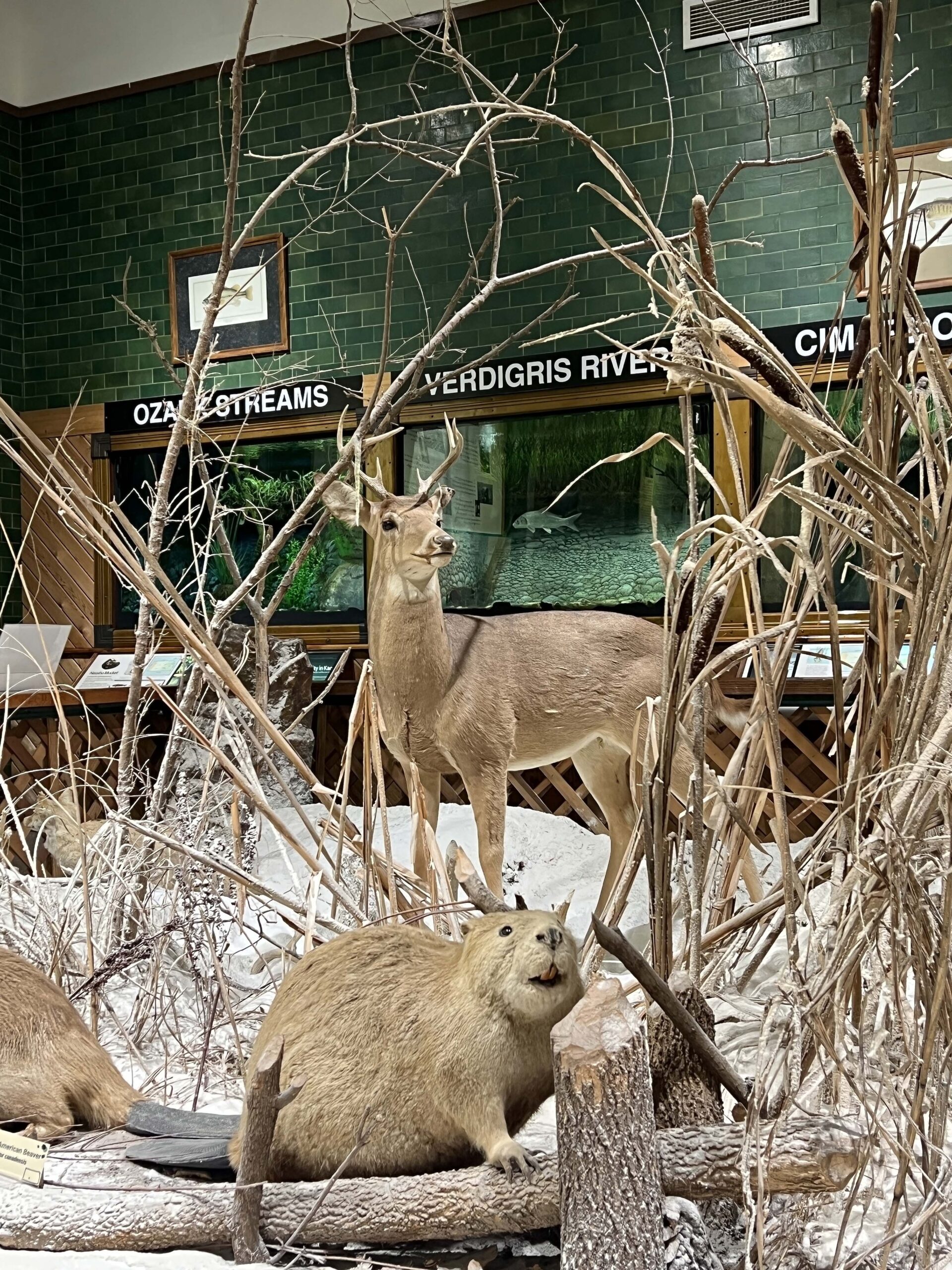 The Pratt Education Center and Museum is supported by the Kansas Wildlife & Parks. 