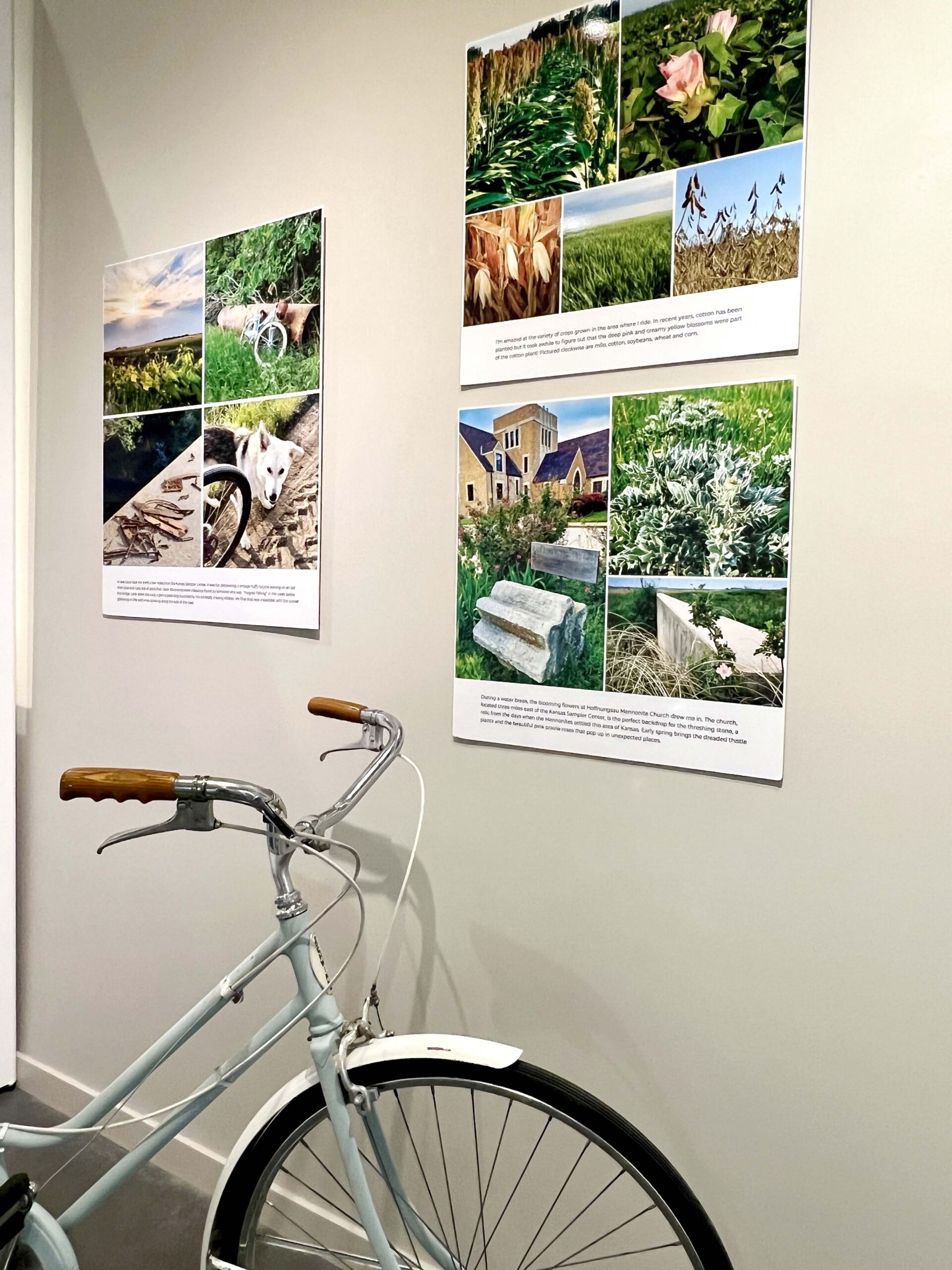 Vernon Filley Art Museum showcases photography, paintings, and sculptures, and its outdoor courtyard is a sight to behold.