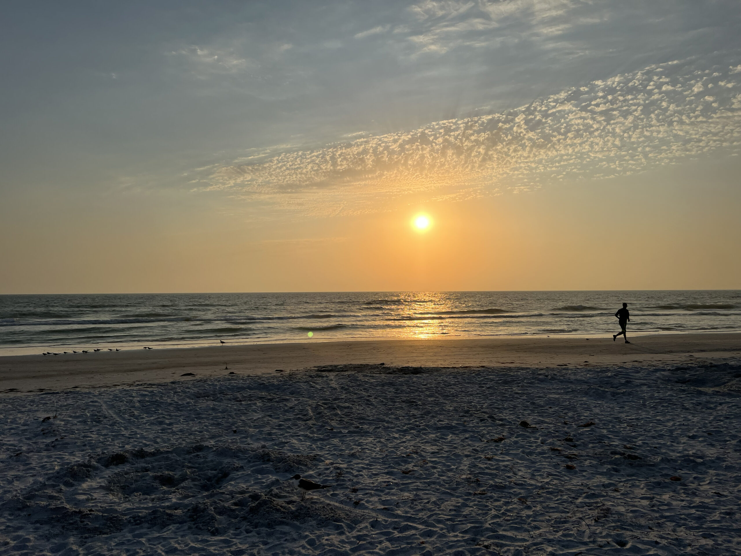 Leisurely Activities in St. Petersburg/Clearwater Florida