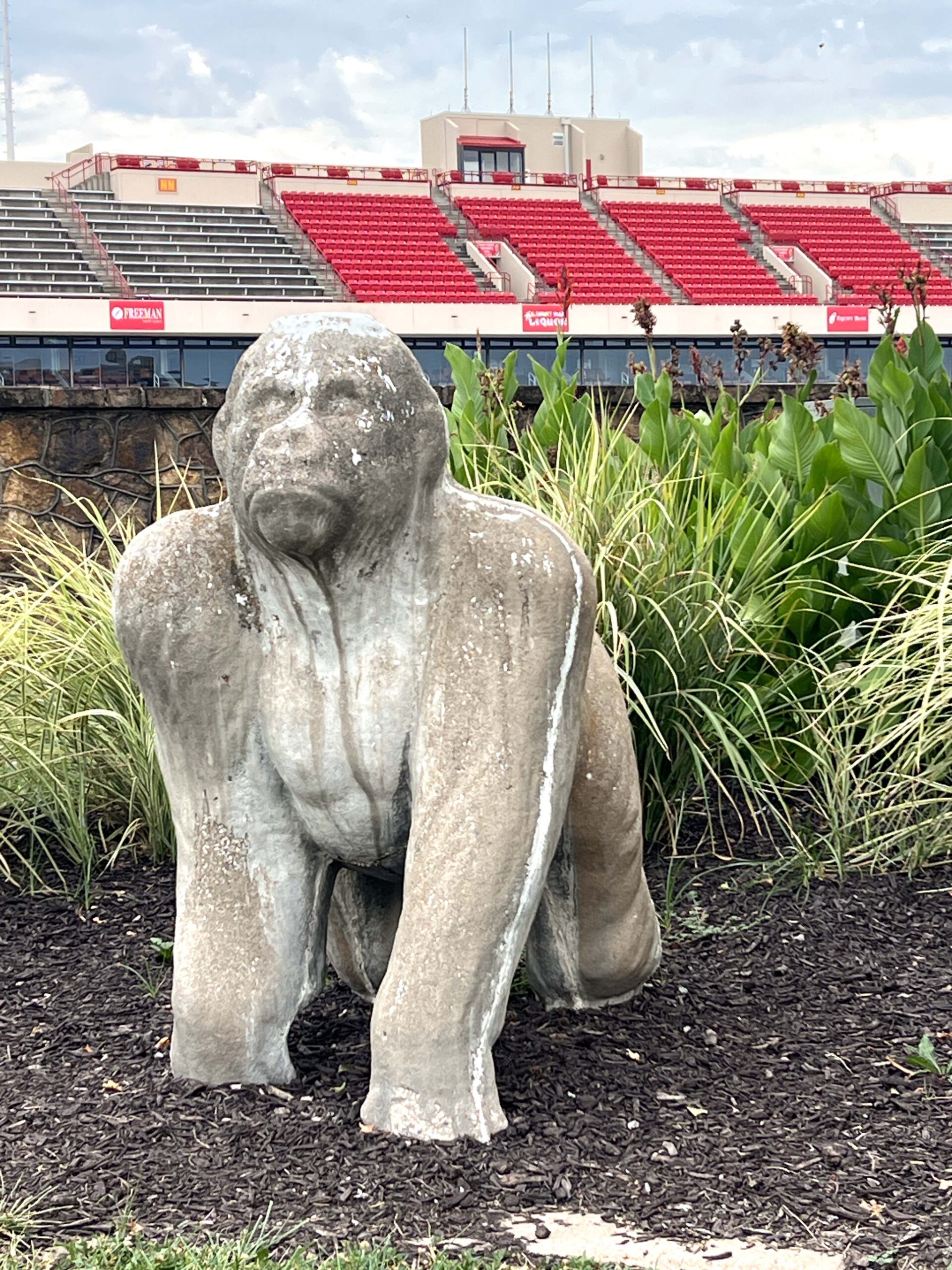 Gus the Gorilla