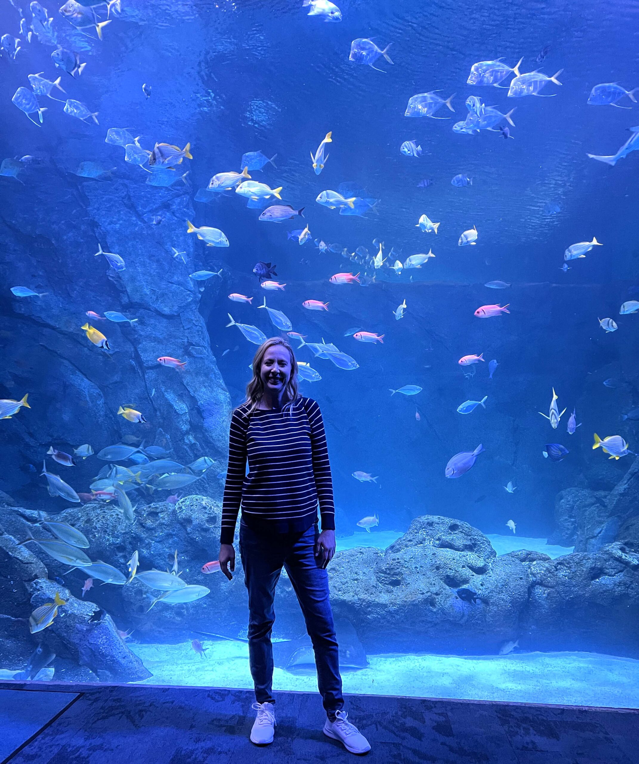 aquarium in St. Louis