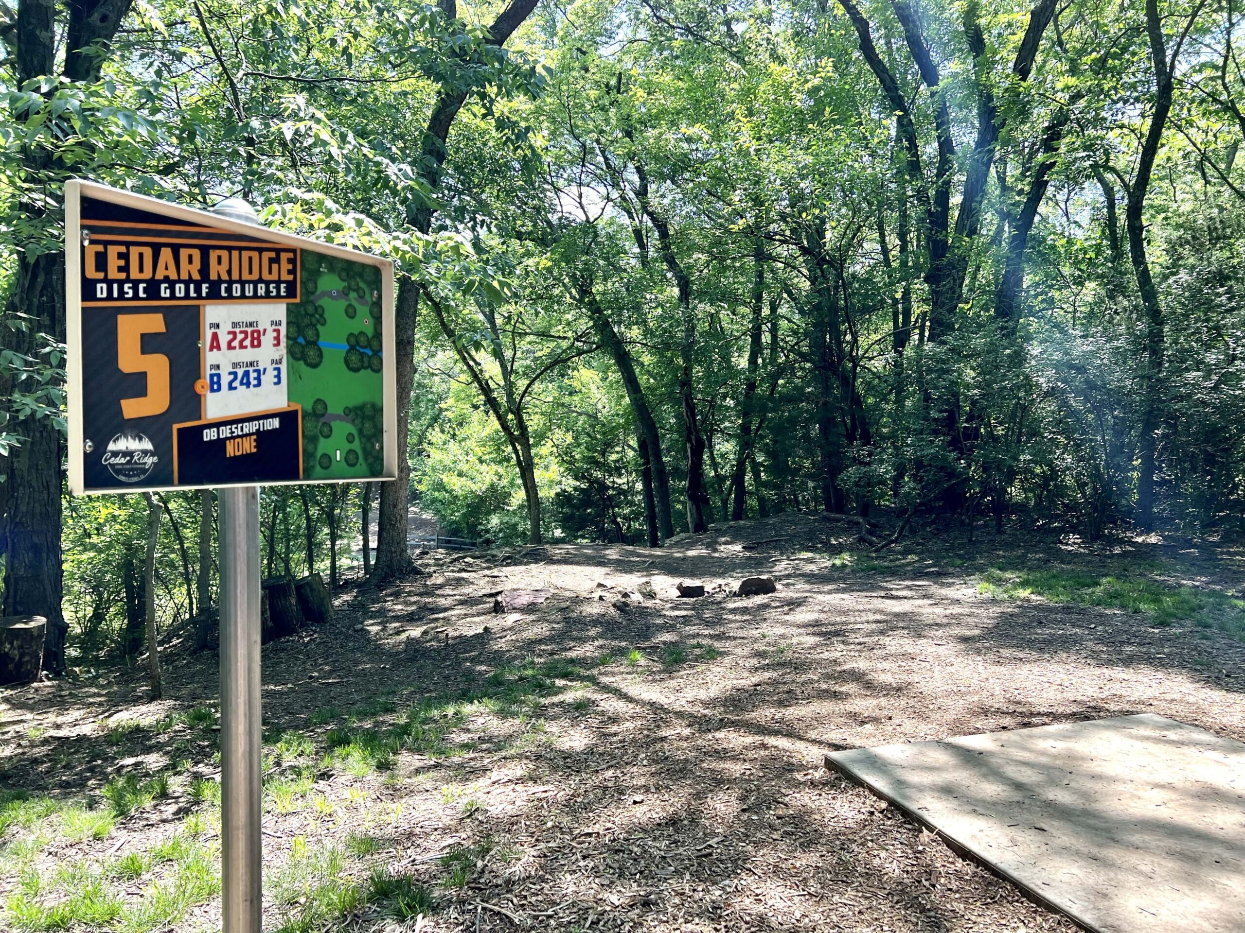 Disc Golf Tee Pad Hole 5