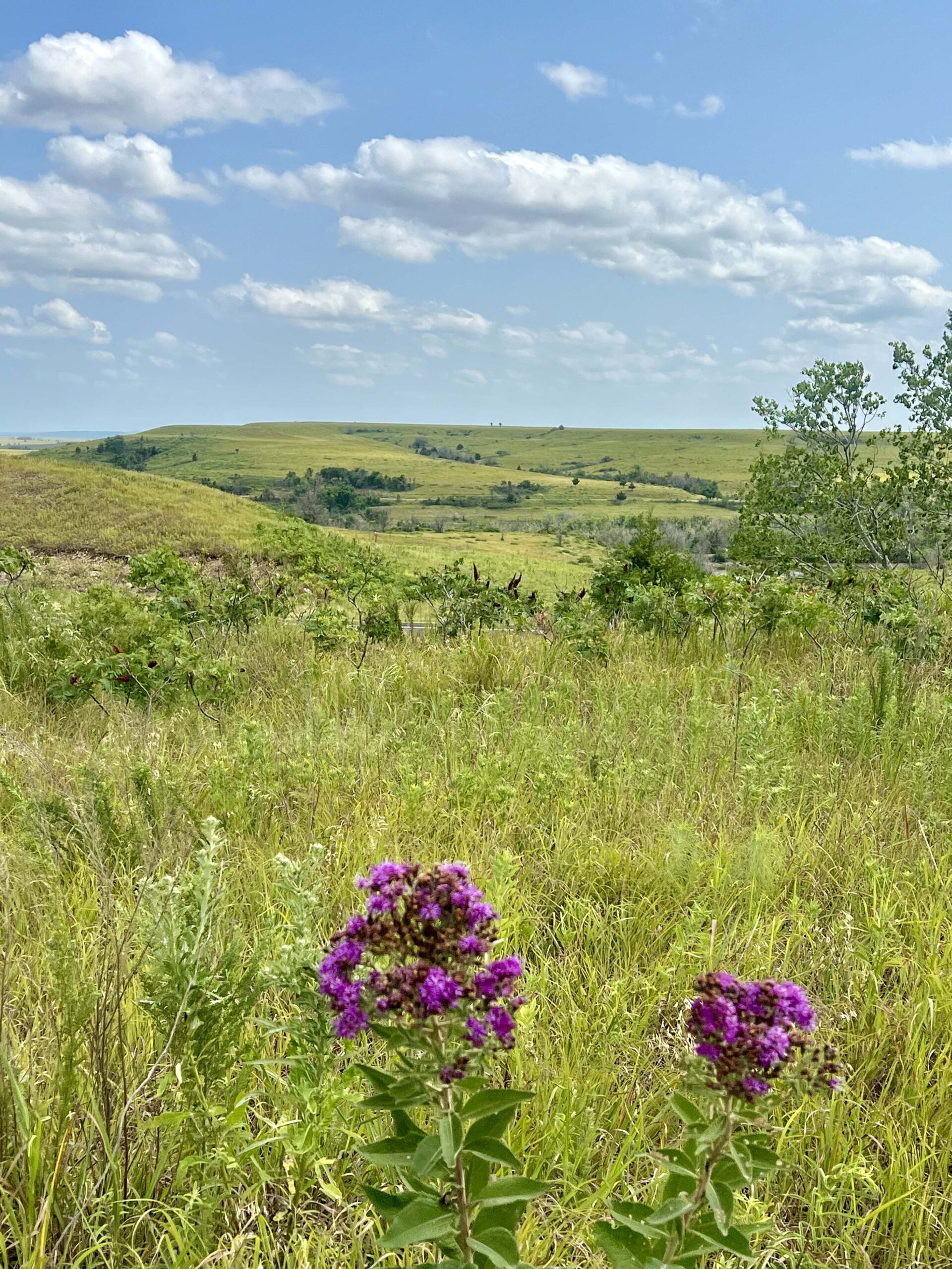 The view in Beaumont, Kansas from the public rest stop.