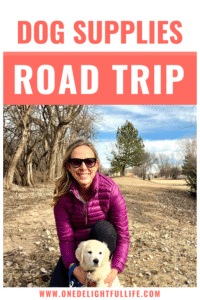 This road trip supplies list is ideal for dog owners who like to vacation.