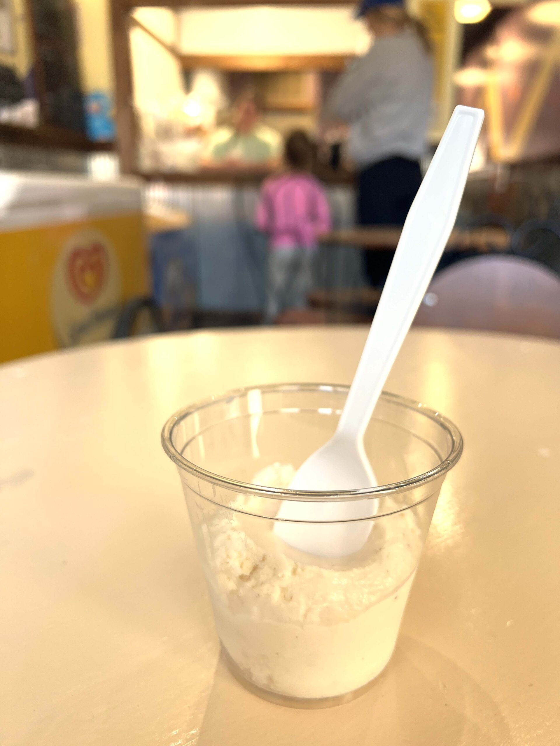 Salted Vanilla Bean ice cream served in a small cup at Bird's Creamery.