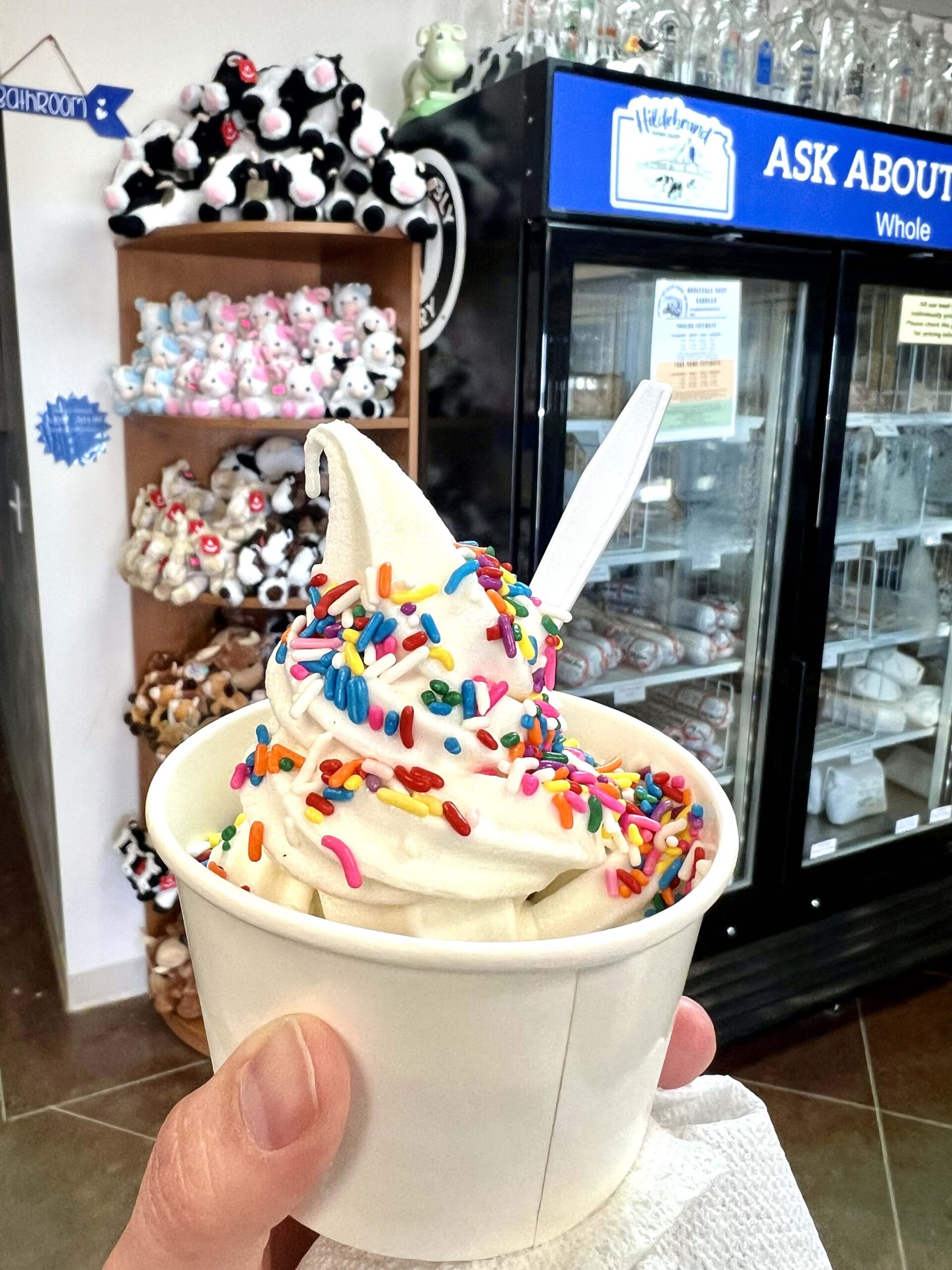 Soft serve ice cream