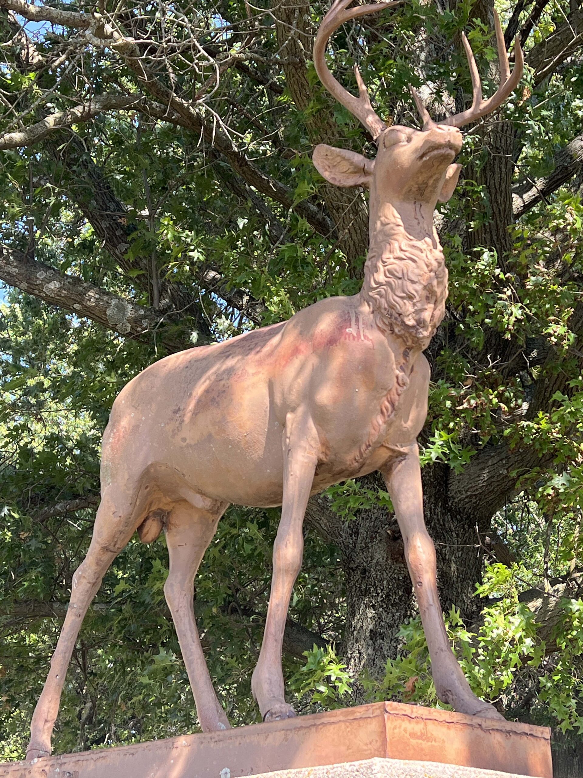 Dr. Charles H. Strong shot a deer on this spot, added a stake in the ground, and declared possession of the land.
