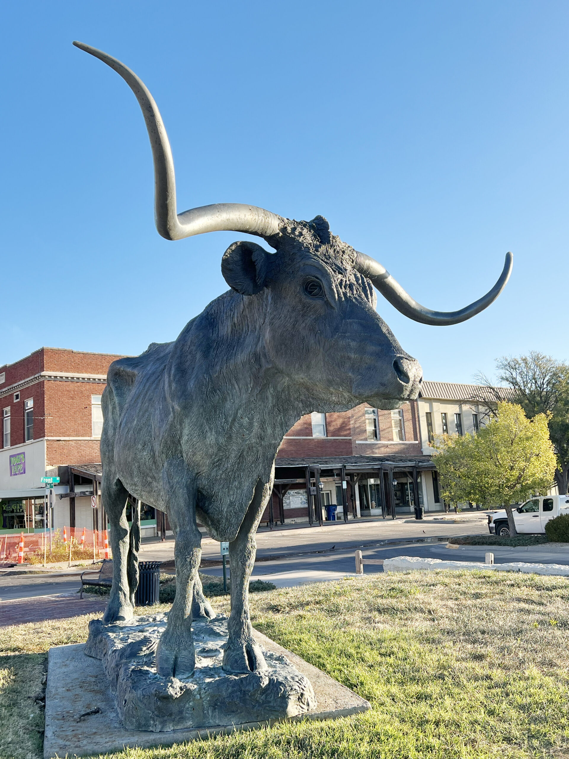 Longhorn Cattle Dodge City