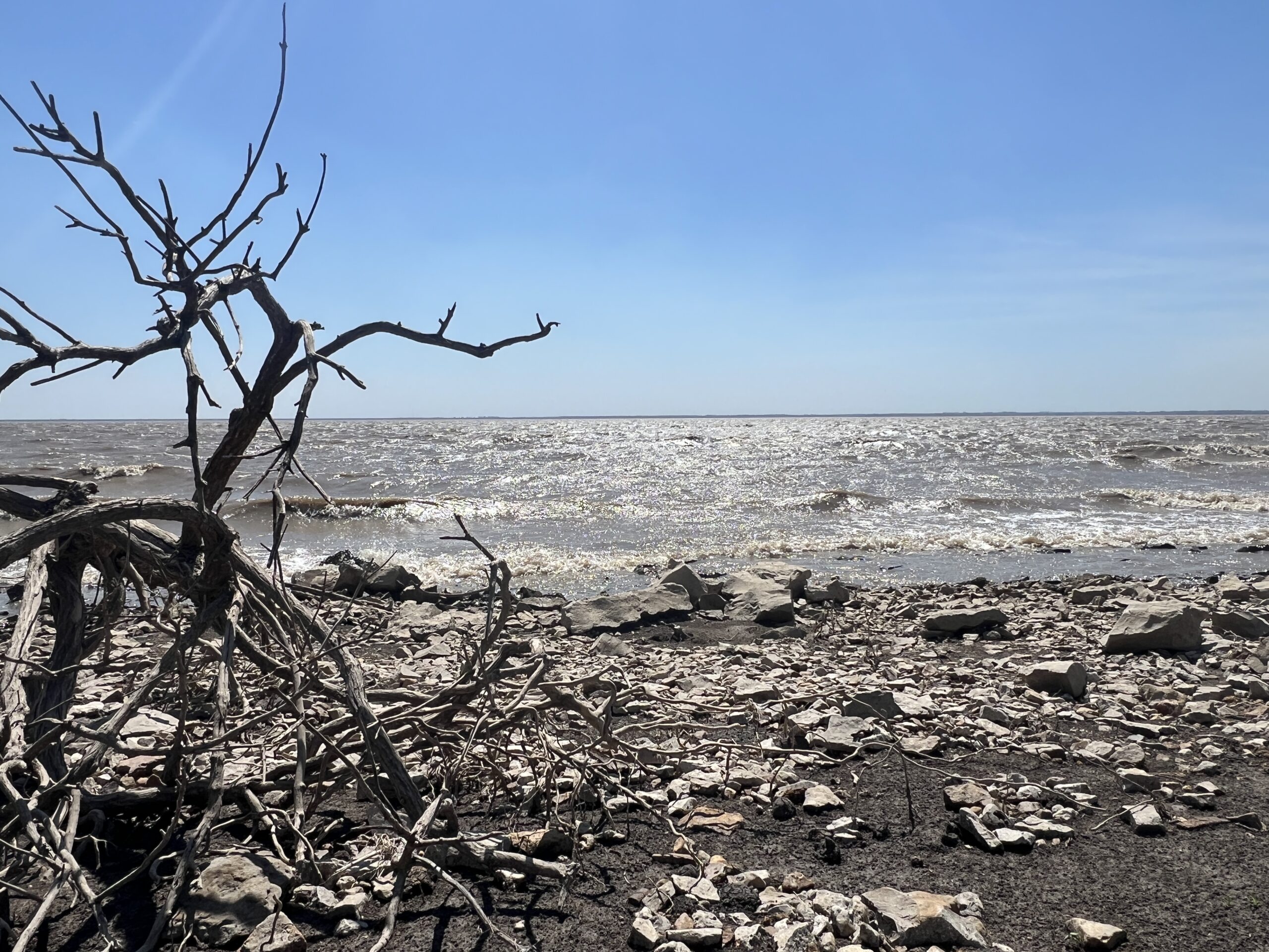 John Redmond Reservoir shoreline on a windy day