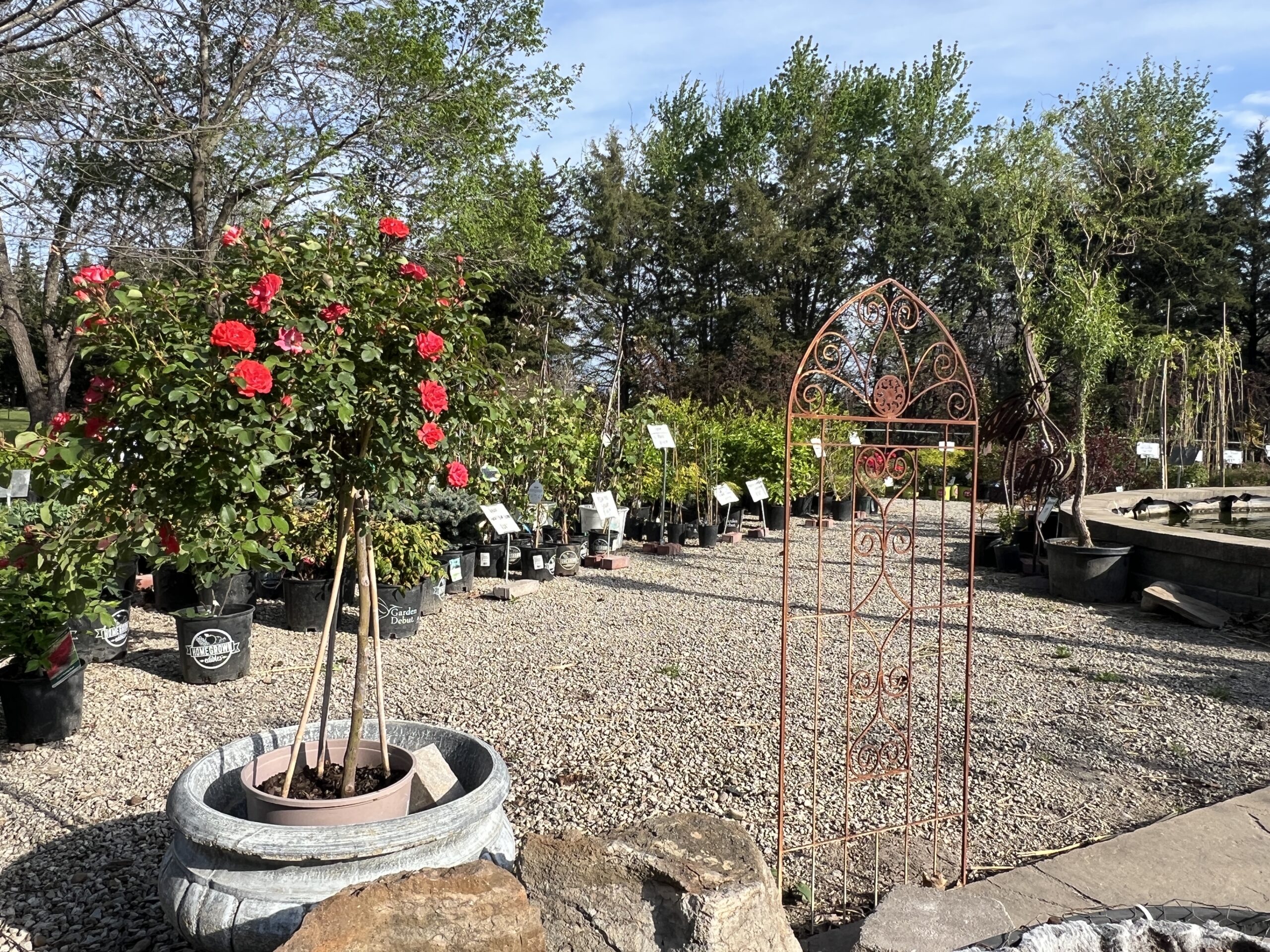 Strawder's & Daughters Nursery & Tree Farm shrubs and plant selection