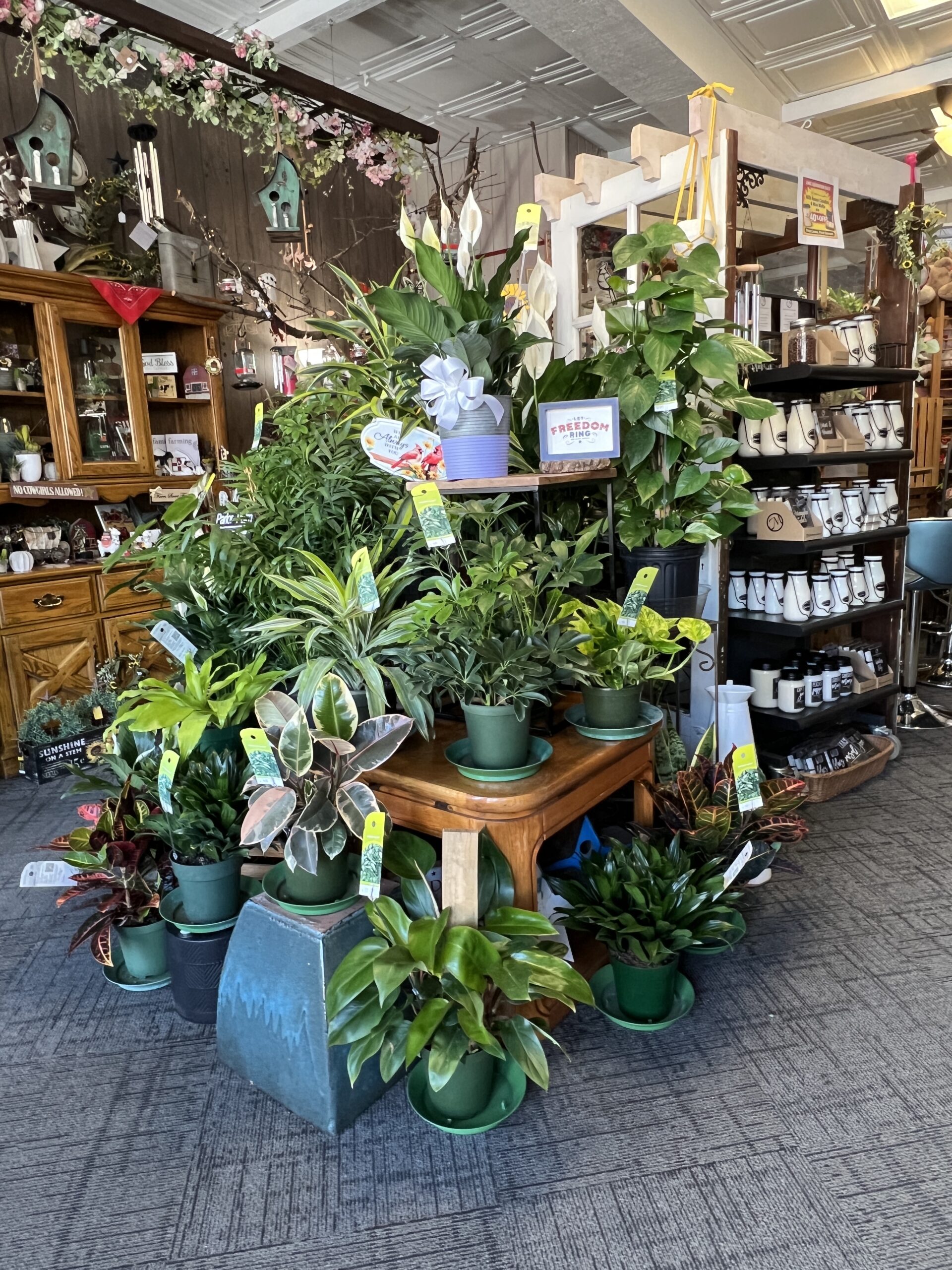 Turner Flower & Country Store is one-stop shopping for gift giving from plants to toys.
