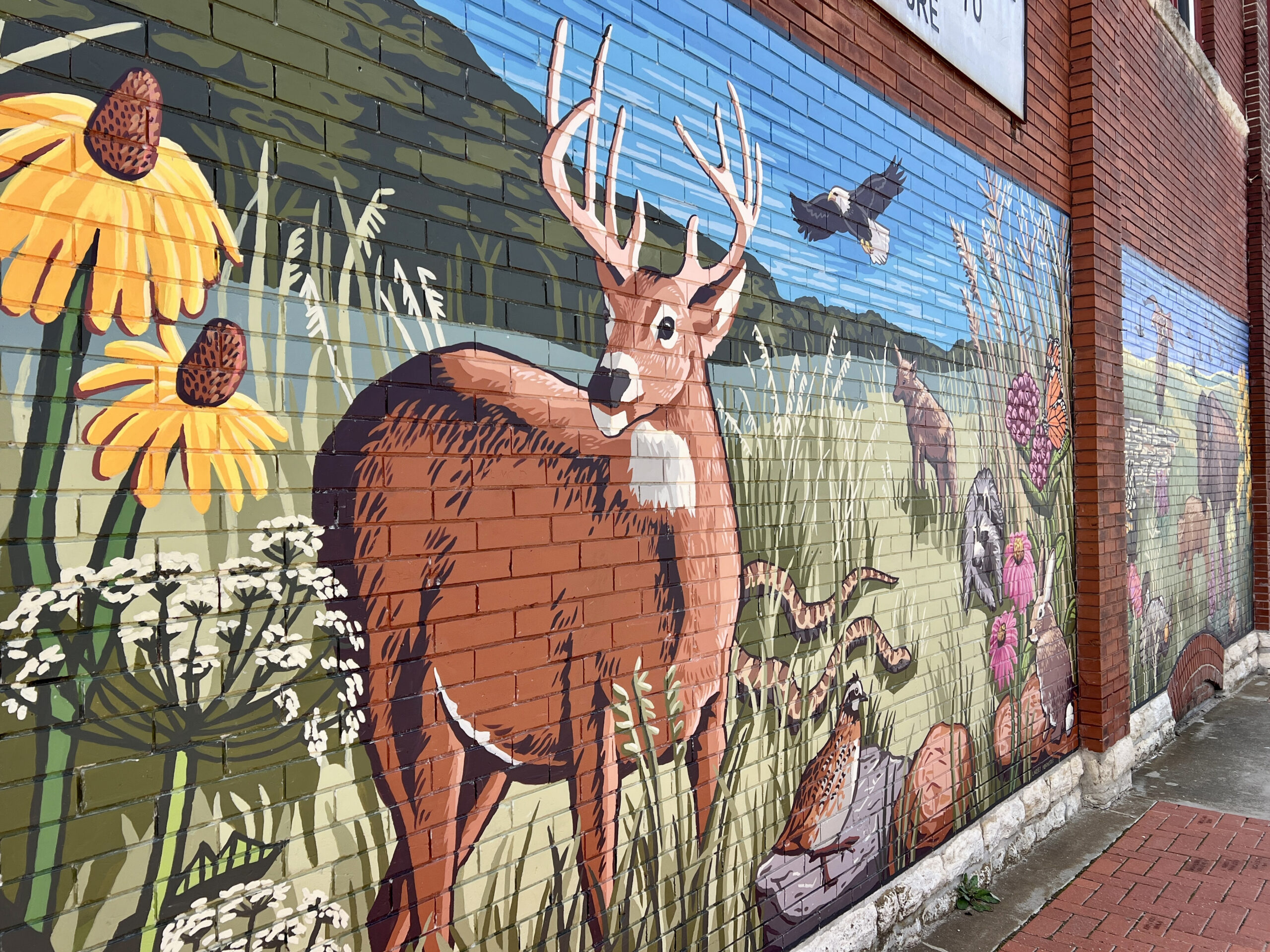 The mural at the Jackson County Historical Museum depicts the wildlife, fauna, and flora one can expect when exploring the area. 