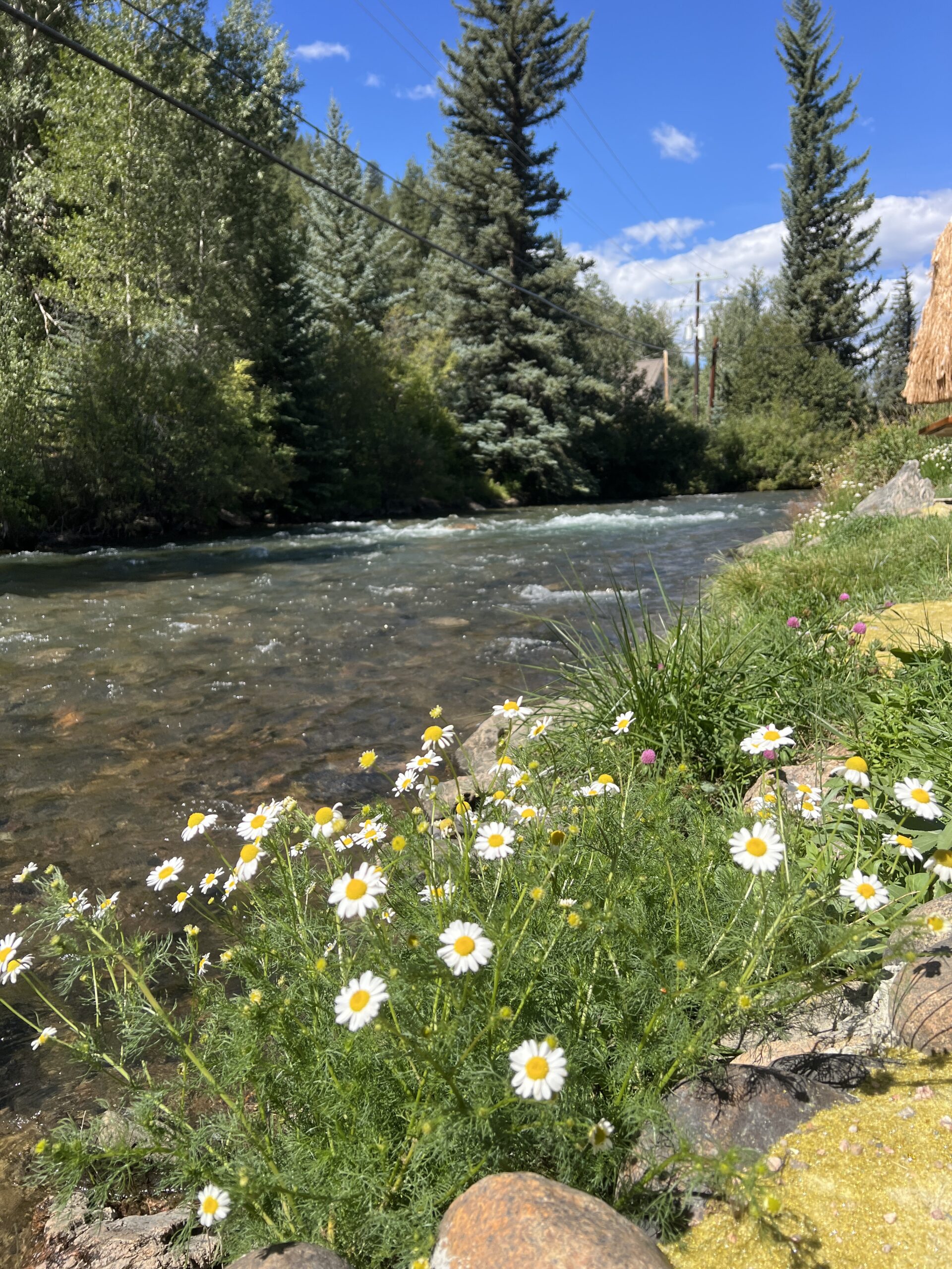dog-friendly vacation rental search took us to Bailey, Colorado, about a one-hour drive Southwest of Denver along Highway 285.